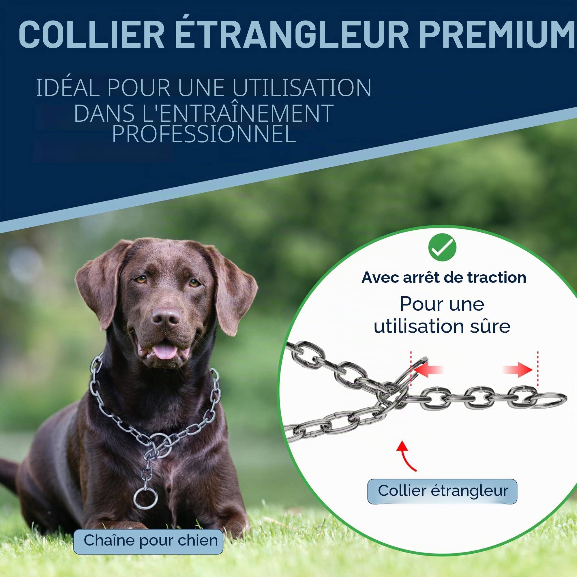 Collier de Dressage Chien Acier Inoxydable – chaîne maillons Longs, 4 mm, 51 cm, léger et Discret, Anti-Traction