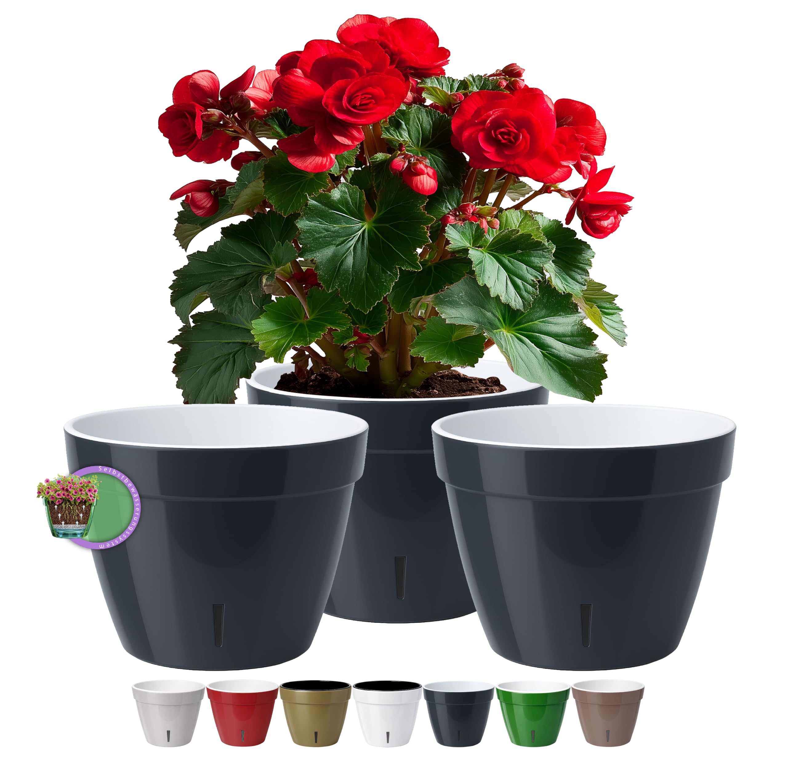 Anthracite/Blanc - Lot de 3