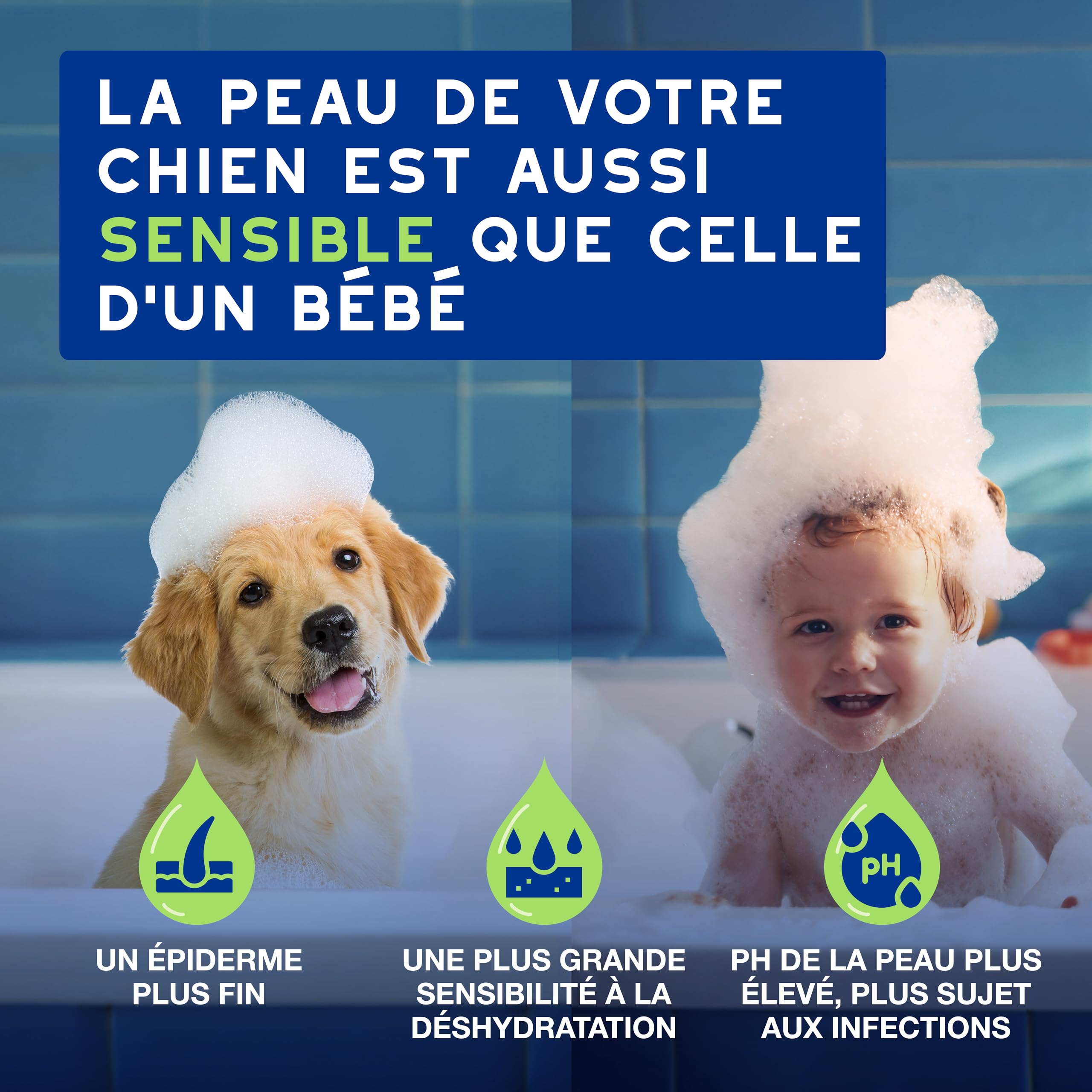 DOUXO Skin & Coat Spa - Ultra-Safe Shampoing pour Chiot, 250mL, Nettoie et Hydrate la Peau Profondeur, Laisse Le Pelage Doux et éclatant, Formule respectueuse de la Peau.
