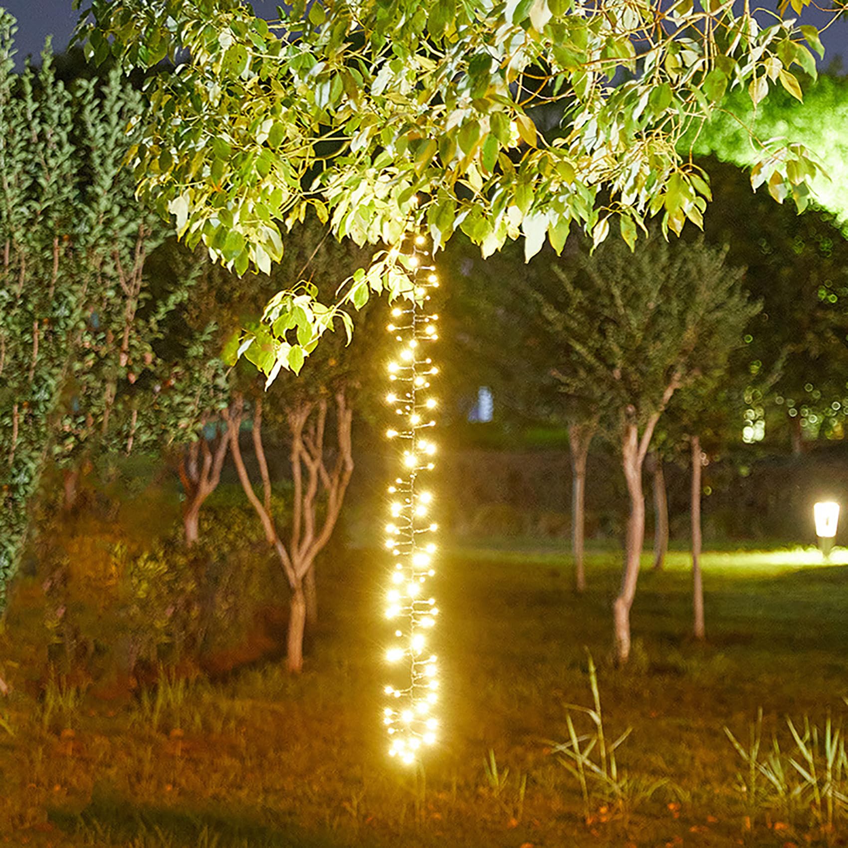 Solar LED Cluster Lichterkette 1.5M 360 LED Lichterkette Außen 3 Stränge Büschellichterkette Wasserdichte Meteorschauer Lichterkette für Weihnachtsbaum Party Garten (Warmes Weiß)