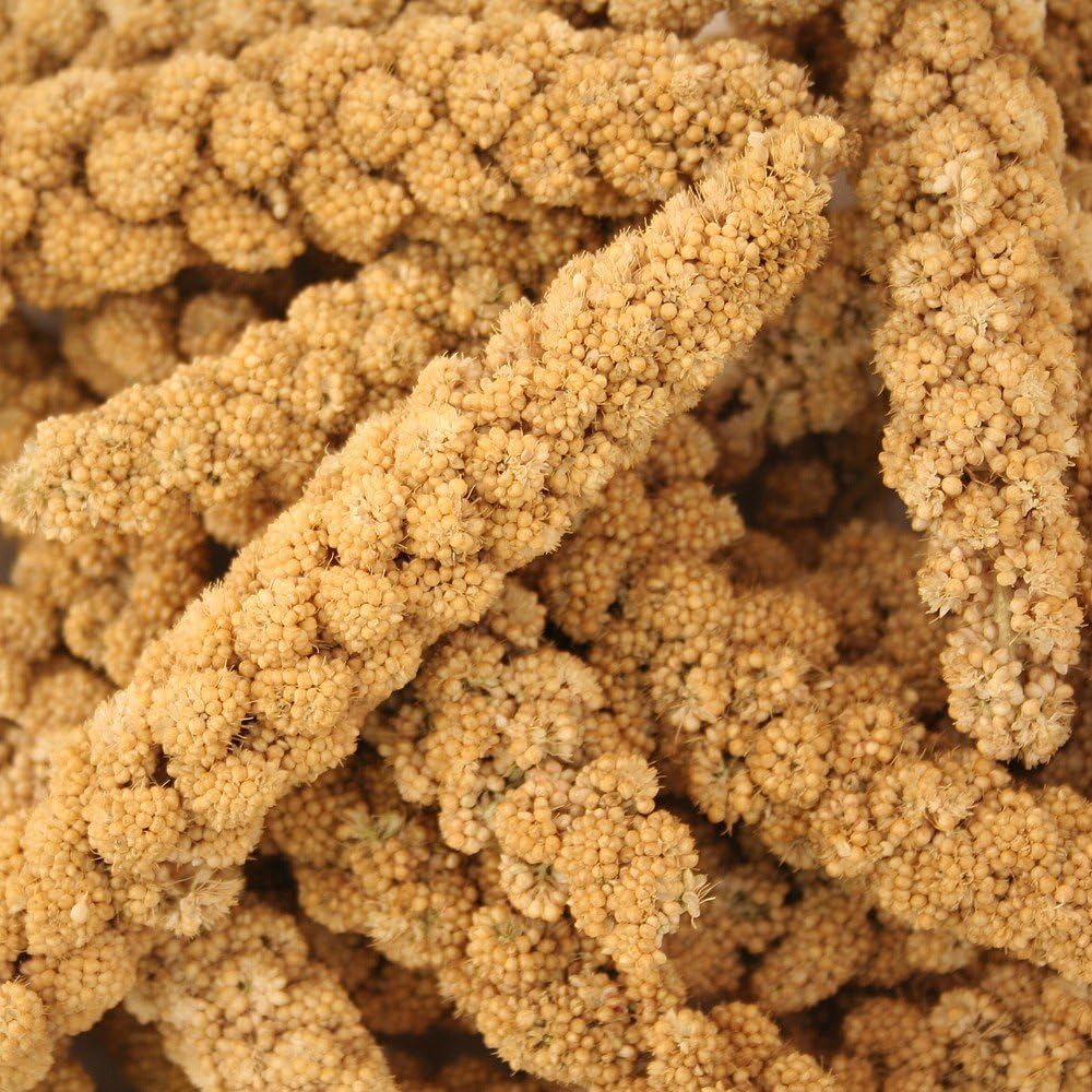 Vitakraft Vita Nature Yellow Foxtail Millet 300g, Transparent, 300 g (Pack of 1) - Image 3