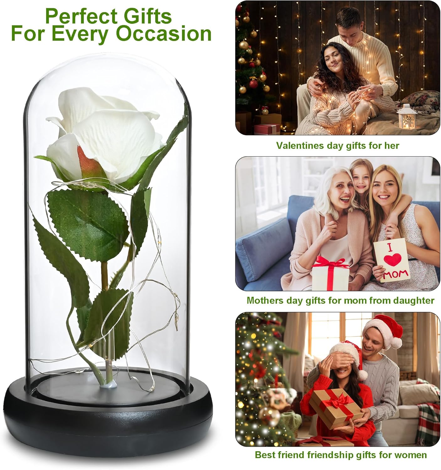 QUELIEN White Roses in Glass Dome,Eternal Rose Gift for Women,Lasts Forever Home Decor,Mother's Day Christmas (White) - Image 3