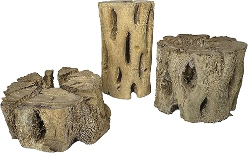 Vista 25 de Soportes de exhibición de plantas de aire grandes de madera cholla natural, soportes decorativos individuales únicos o soporte