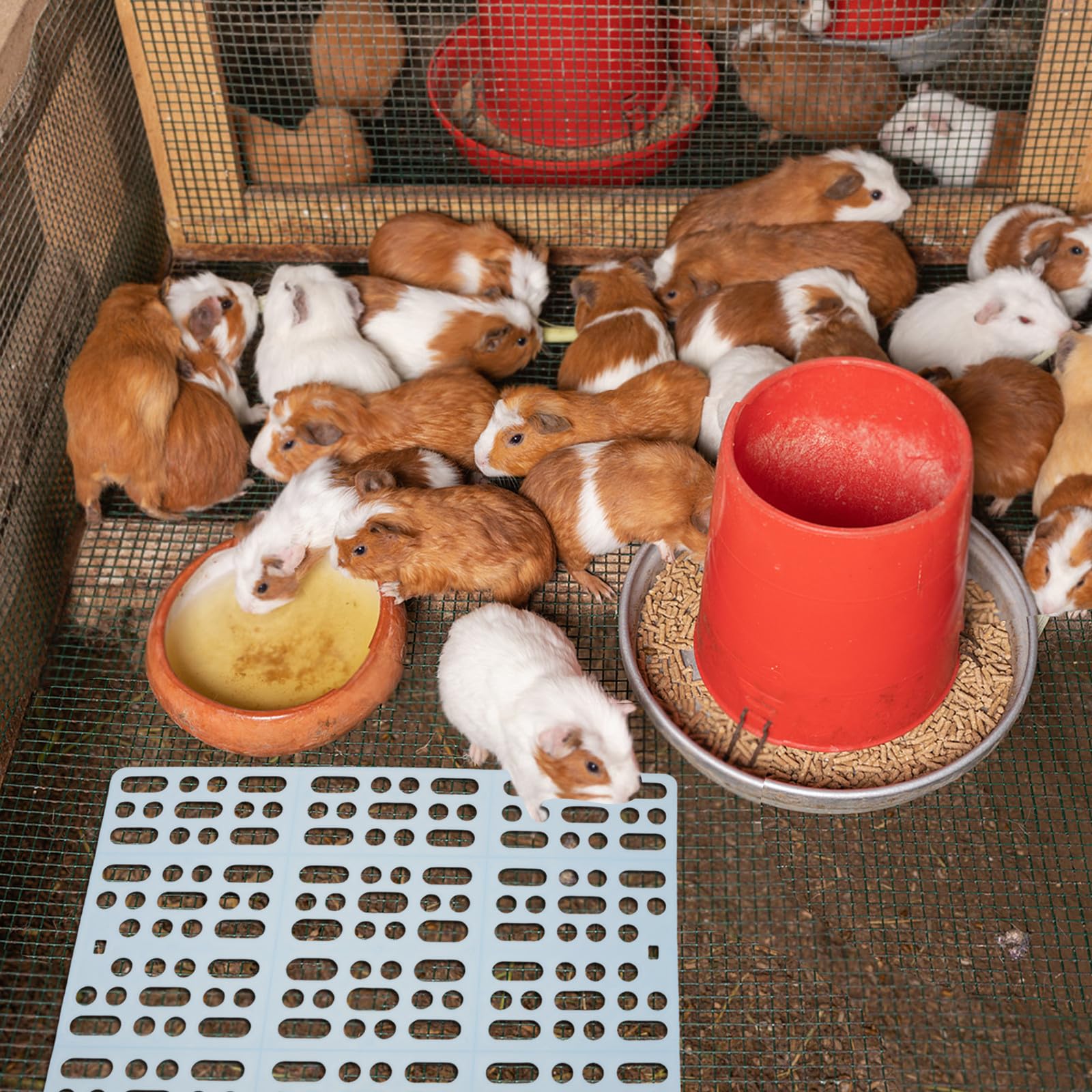 Happyyami Tapete de Descanso para Jaula de Conejos de Plástico Rejilla Ligera y Lavable, Paquete de 3 Piezas Adecuado para Jaulas de Animales Pequeños