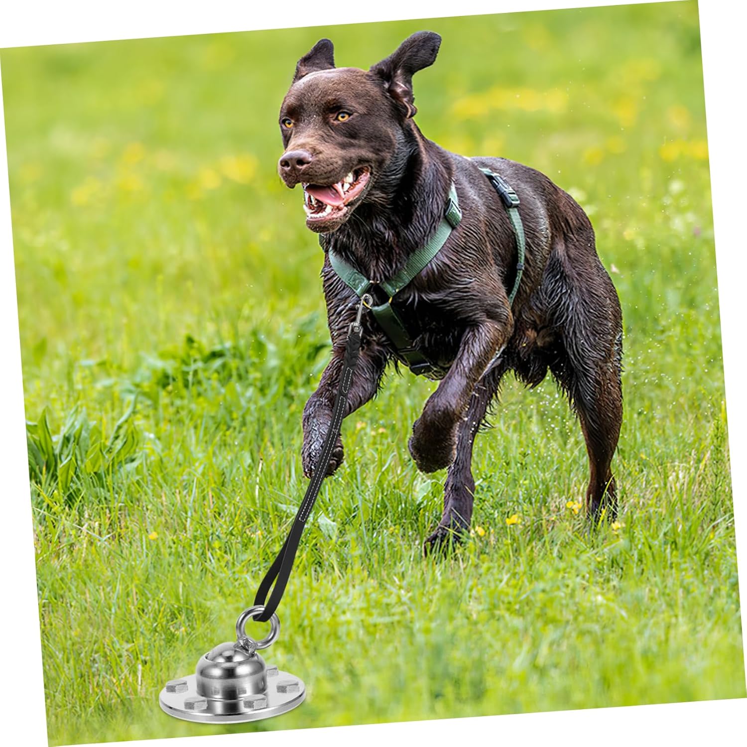 Dog Ground Stake Cable Kit Heavy Duty Tie Out Stake Cable for Outdoor Rotatable Dog for Camping Hiking