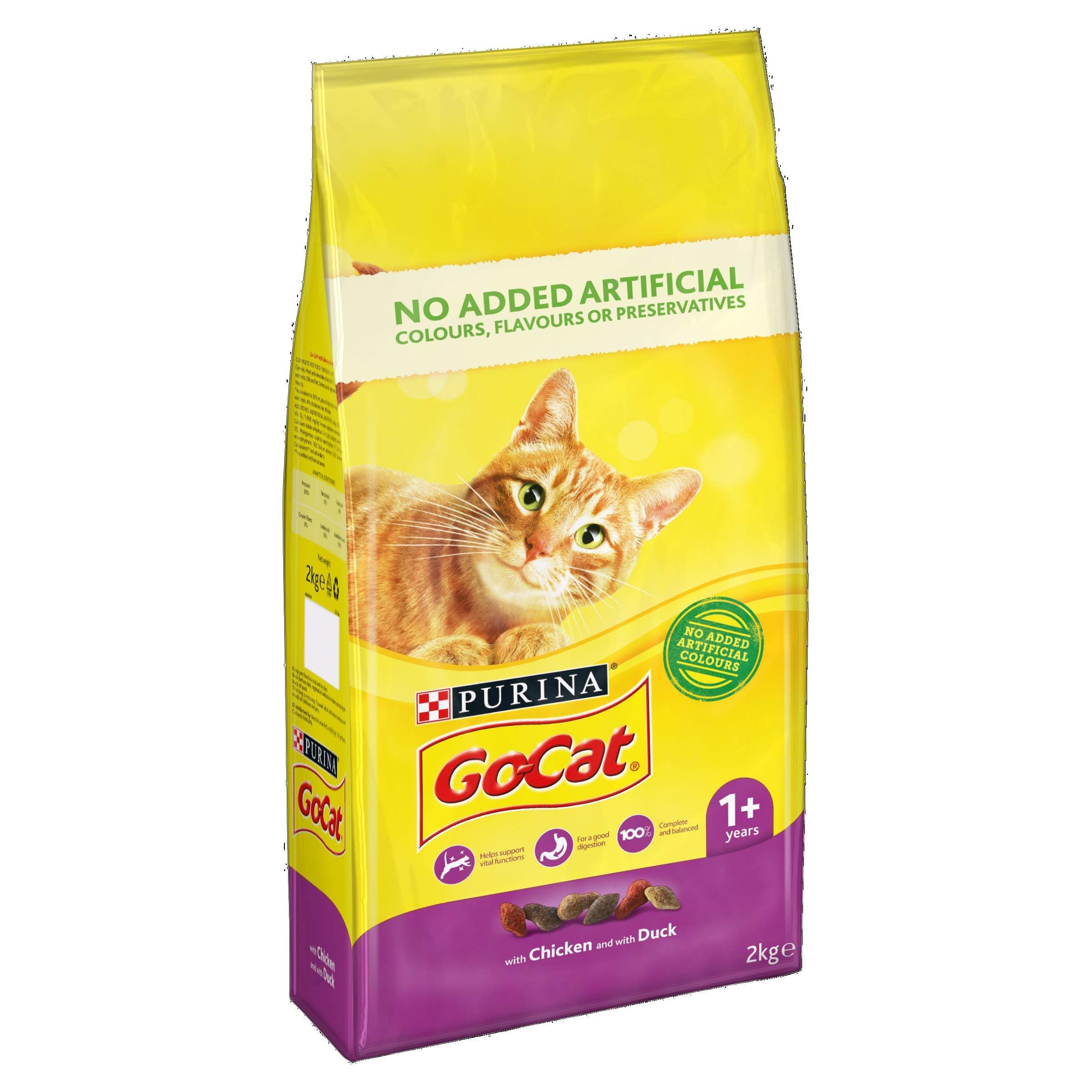 go dry cat food