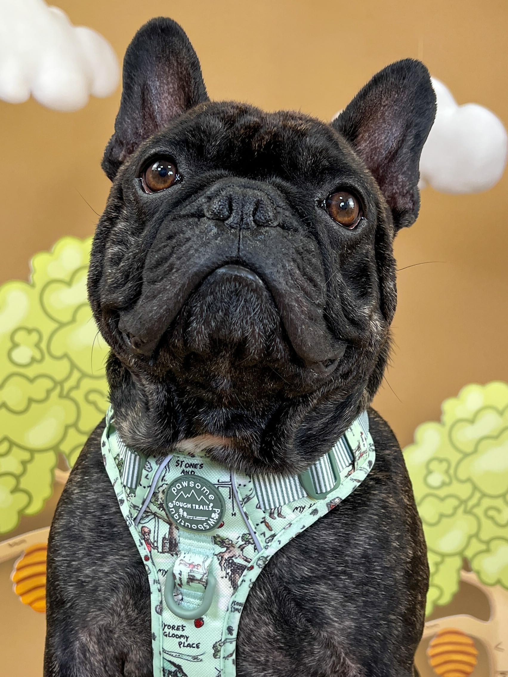 Pawsome Paws Boutique Aker Woods Hundegeschirr, robust, verstellbar, Disney-Design, kein Ziehen, mit reflektierendem Rand und Stabiler Schnalle, 100 Stück