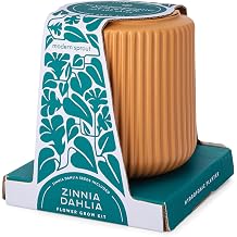 Modern Sprout Flower Grow Kit - Ceramic Planter with Indoor Hydroponics Growing System Kit Ideal for Living Room Decor - Unique Gardening Gifts - Zinnia Dahlia Self Watering Flower Planting Kit