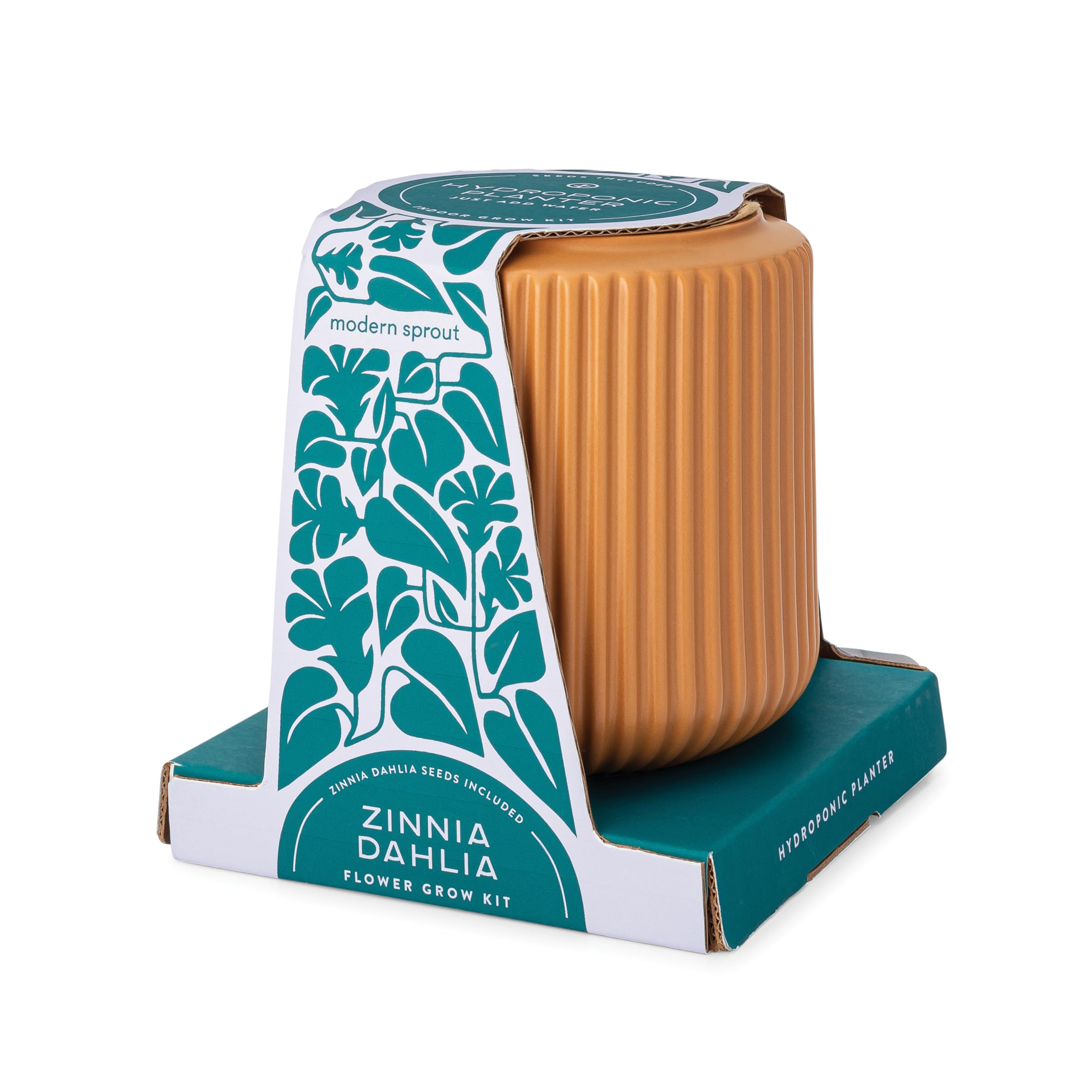 Amazon.com : Modern Sprout Flower Grow Kit - Ceramic Planter with