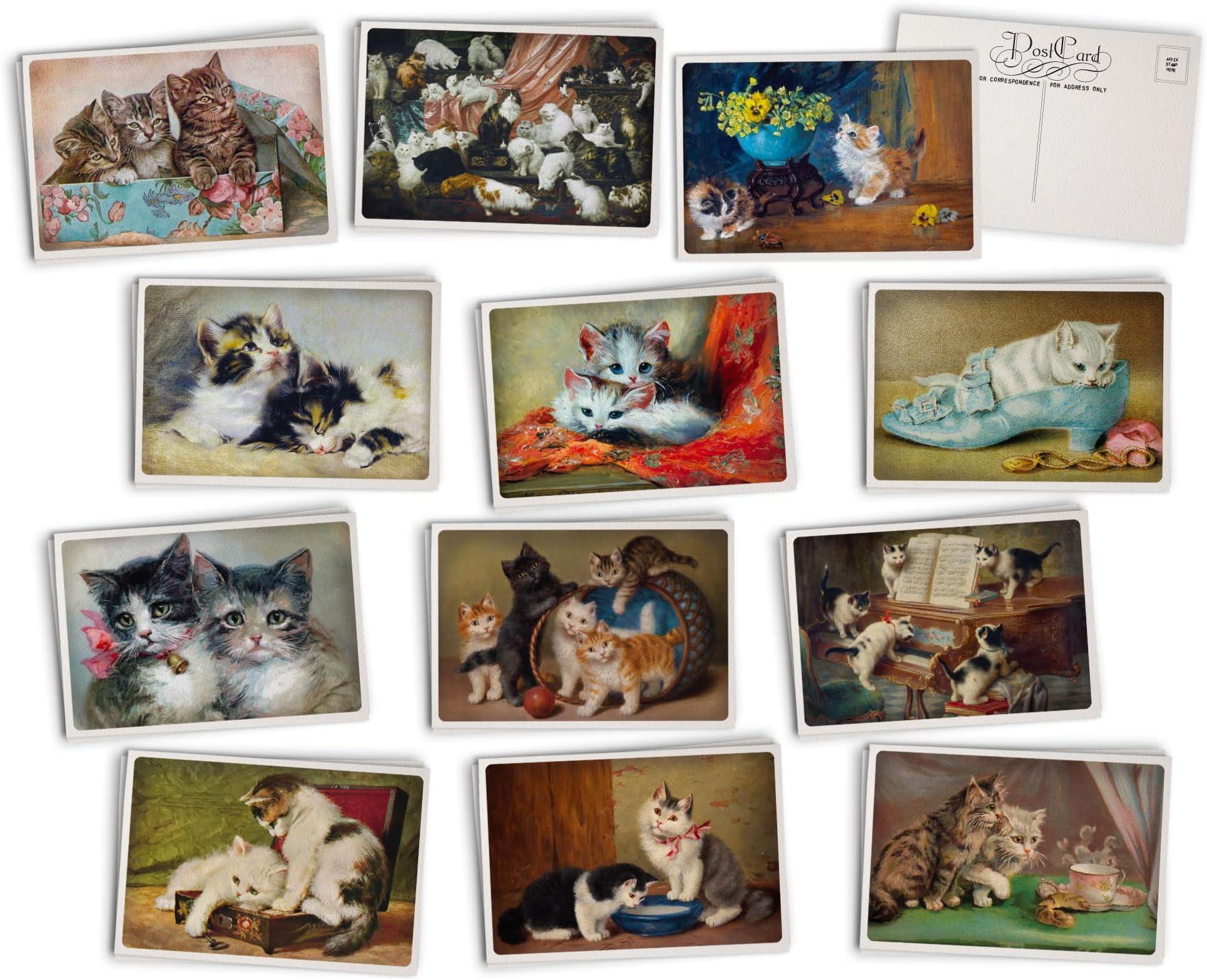Antique Cat Postcards - 24 Vintage Postcards - 12 Assorted Kitten Retro Book Illustration Cards Printed on Vintage Textured Style Cardstock
