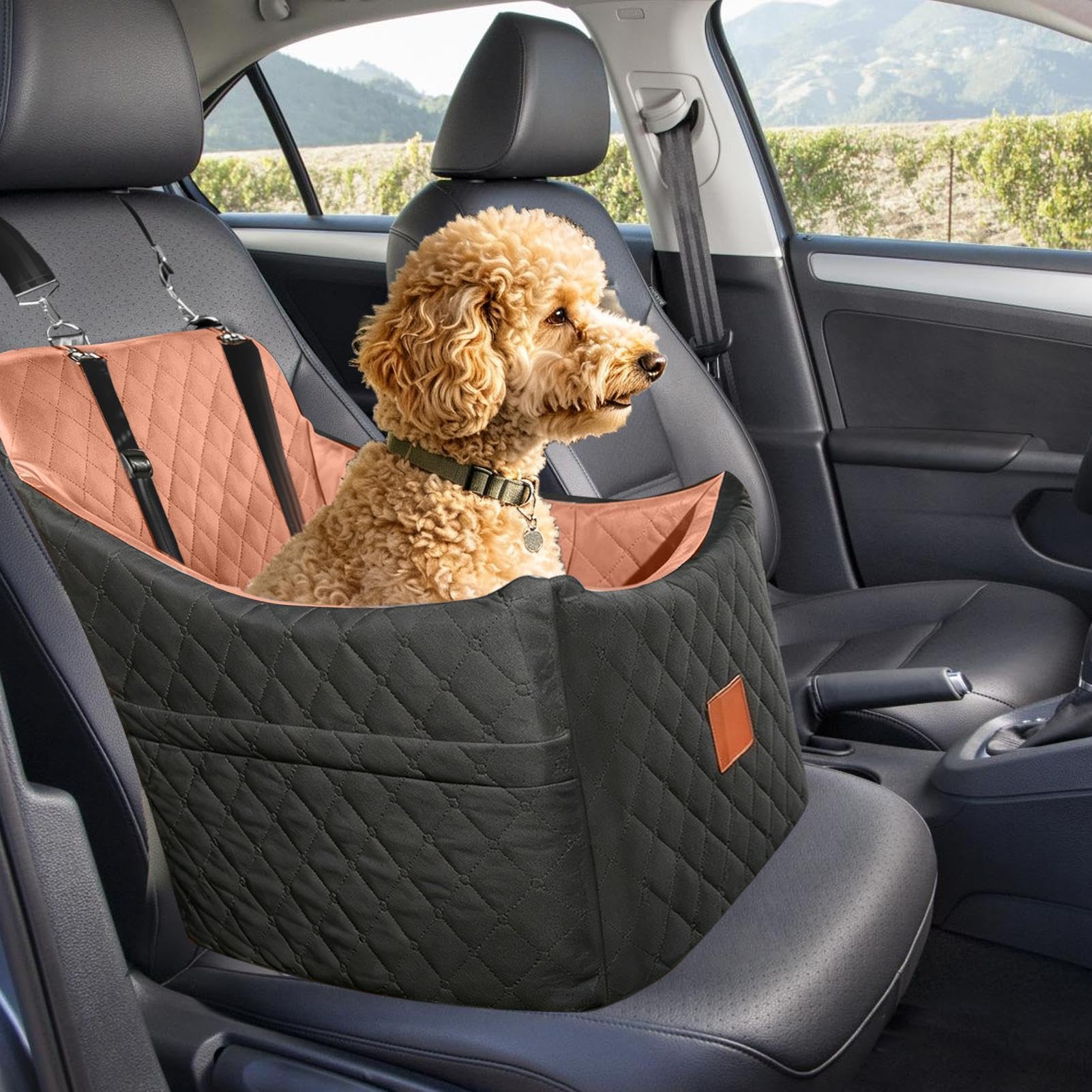 Autositz für Hunde Memory--Reisebett | -Autositz für Tägliche Pendelfahrten, Roadtrips, Lange Autofahrten, Reisen, Urlaub, Tierarztbesuche, Park, Ladefläche, LKW,