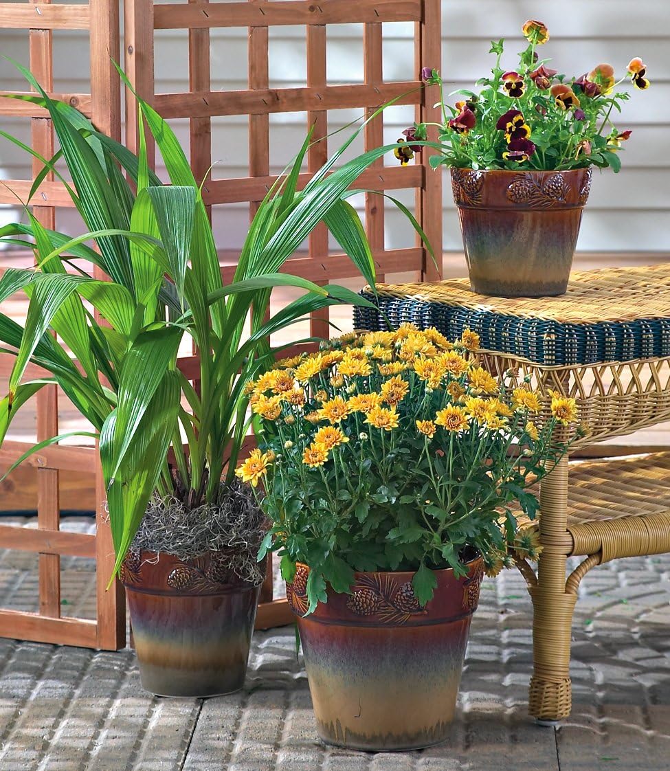 Big Sky Carvers Set of 3 Pinecone Planters Outdoor Decor