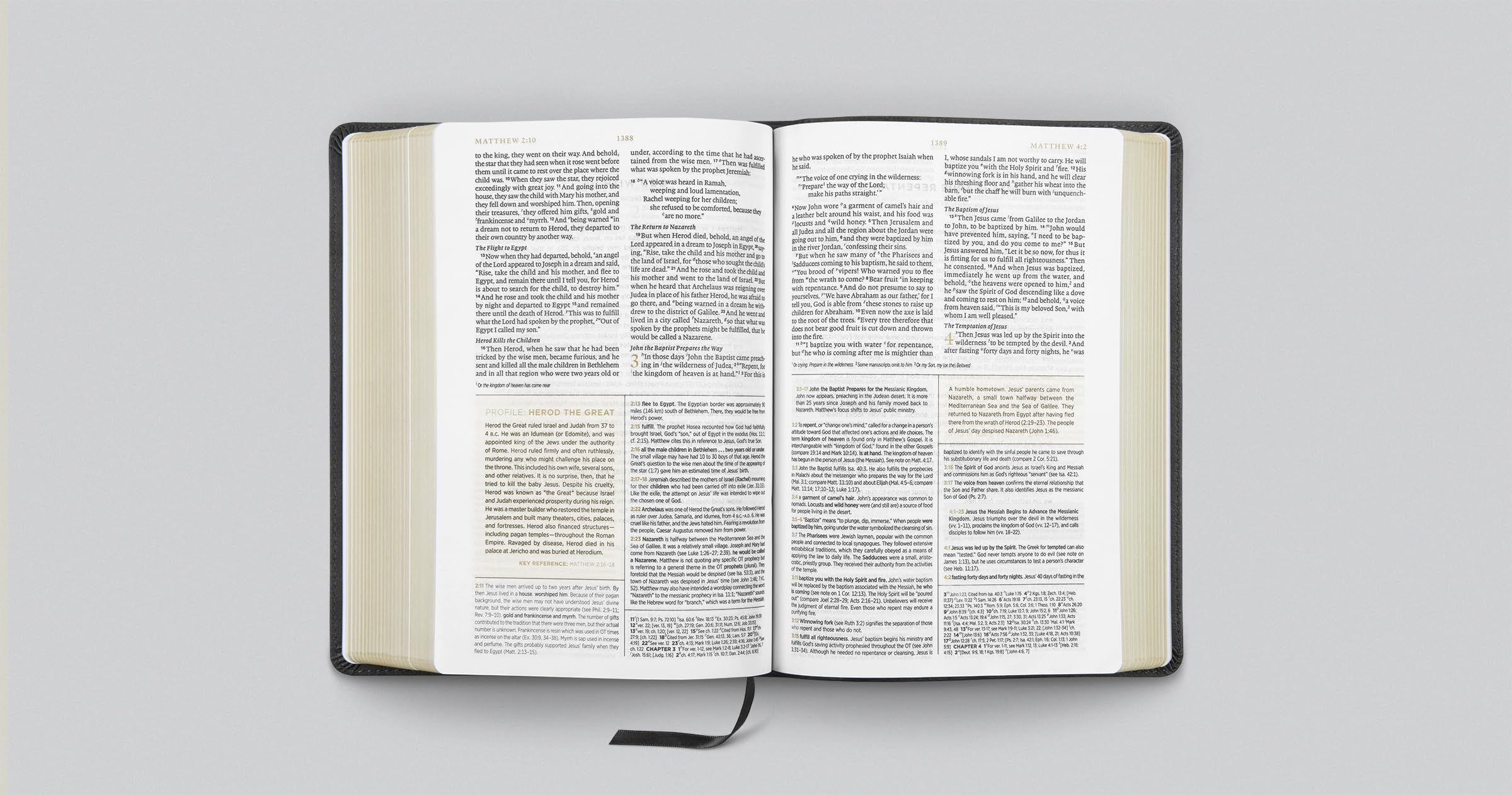 ESV Men's Study Bible (Trutone, Charcoal, Shield Design): English Standard Version, Charcoal, Shield Design, Trutone, Men's Study Bible With Ribbon Marker