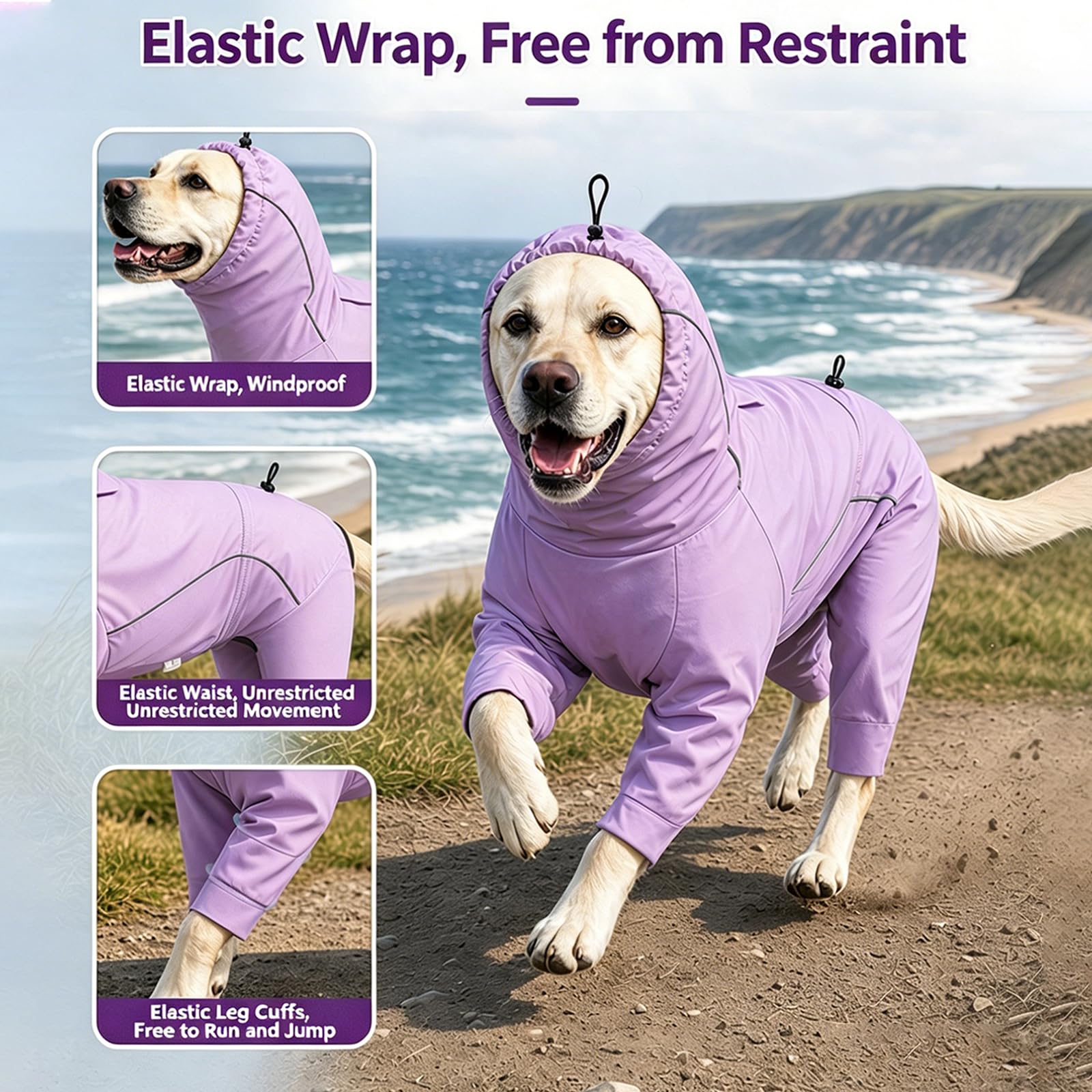 Chaleco Exterior para Perros con tecnología Que Absorbe la Humedad Detalles Reflectantes Ropa antimosquitos para Perros para Paseos nocturnos Seguros Camisa Rapiddry