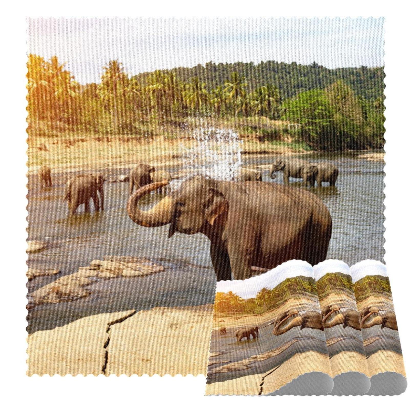 Sets de table résistants à la chaleur éléphant lavables 12x12 pouces