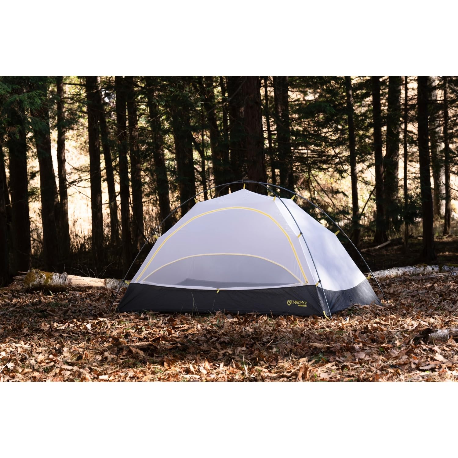 Amazon.co.jp: NEMO(ニーモ) タニ オズモ 2P : スポーツ＆アウトドア