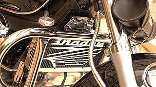 Cache radiateur/Grille de radiateur VT 125 Shadow Design Wing + Grillage Noir