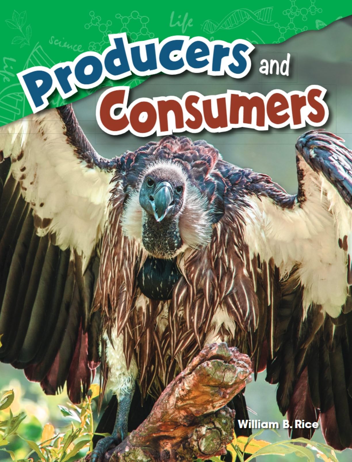Producers and Consumers (Science Readers: Content and Literacy)