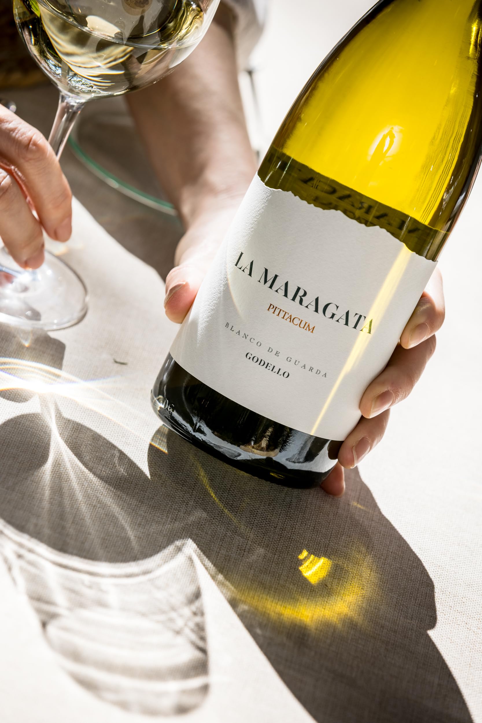 La Maragata - Añada actual - D.O. Bierzo - Vino Blanco Godello - Botella 750 ml