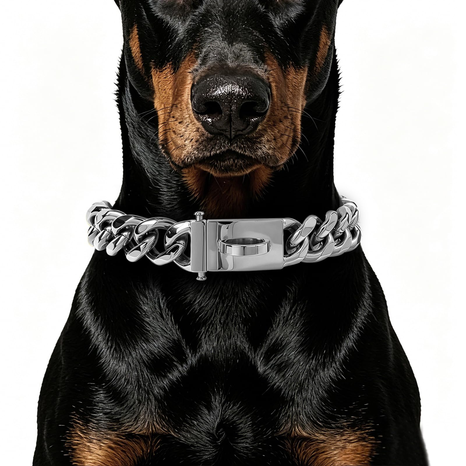 小物 DOUBLE MINI PITBULL CHAIN ( Order) Amazon.com : BAOBOTE Gold Chain Dog Collar with Secure Snap Buckle
