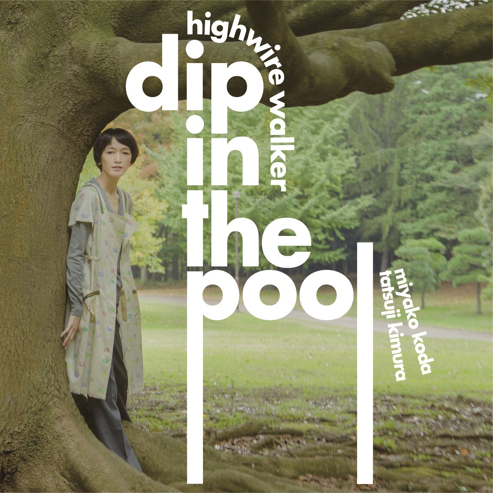 Amazon.co.jp: HIGHWIRE WALKER - dip in the pool: ミュージック