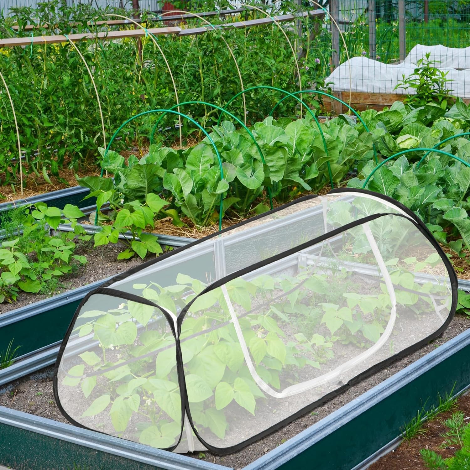 Filet de protection anti-insectes pour jardin 115 x 56 x 40 cm | Tente de jardin pour protéger les plantes, légumes, fruits contre les oiseaux et les insectes