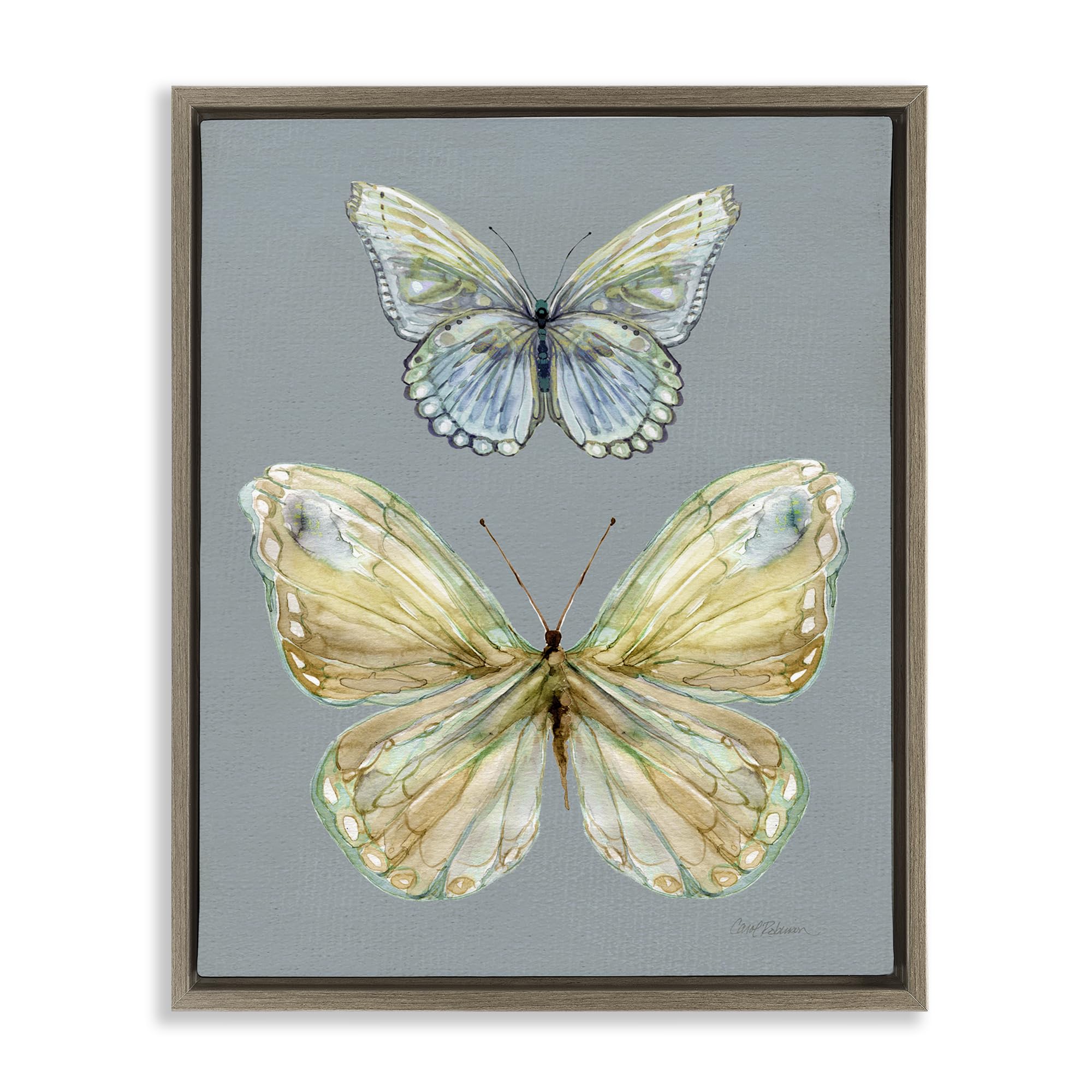 'Delicate Butterflies on Slate'| Floating Frame Canvas Art