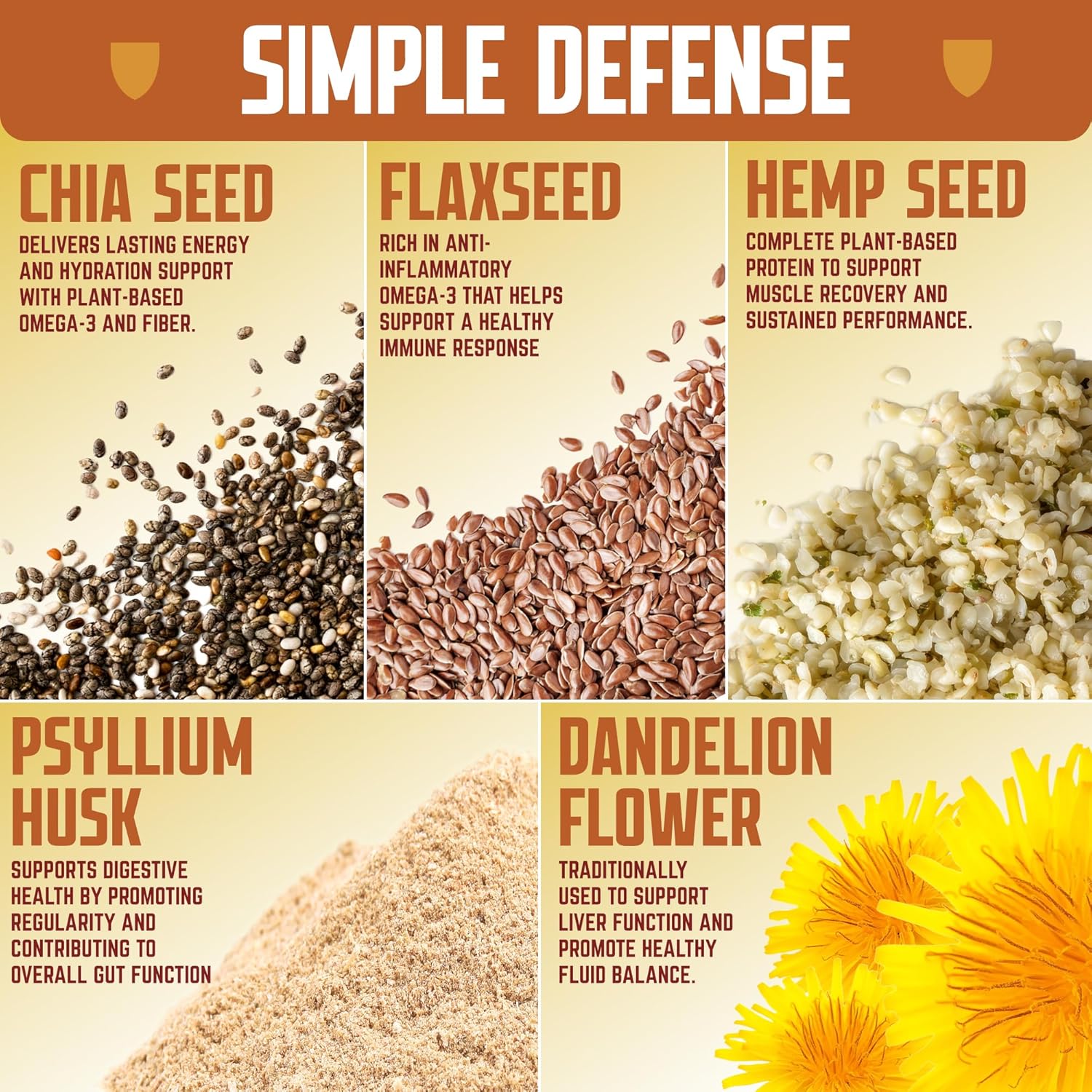 Defender Vegan Protein Bar, Peanut Butter Chocolate, Plant Based Snack or Breakfast Bars, Psyllium Husk, Dandelion Root, High Fiber, Non GMO, Kosher, No Stevia, No Sugar Alcohols, 12 Bars