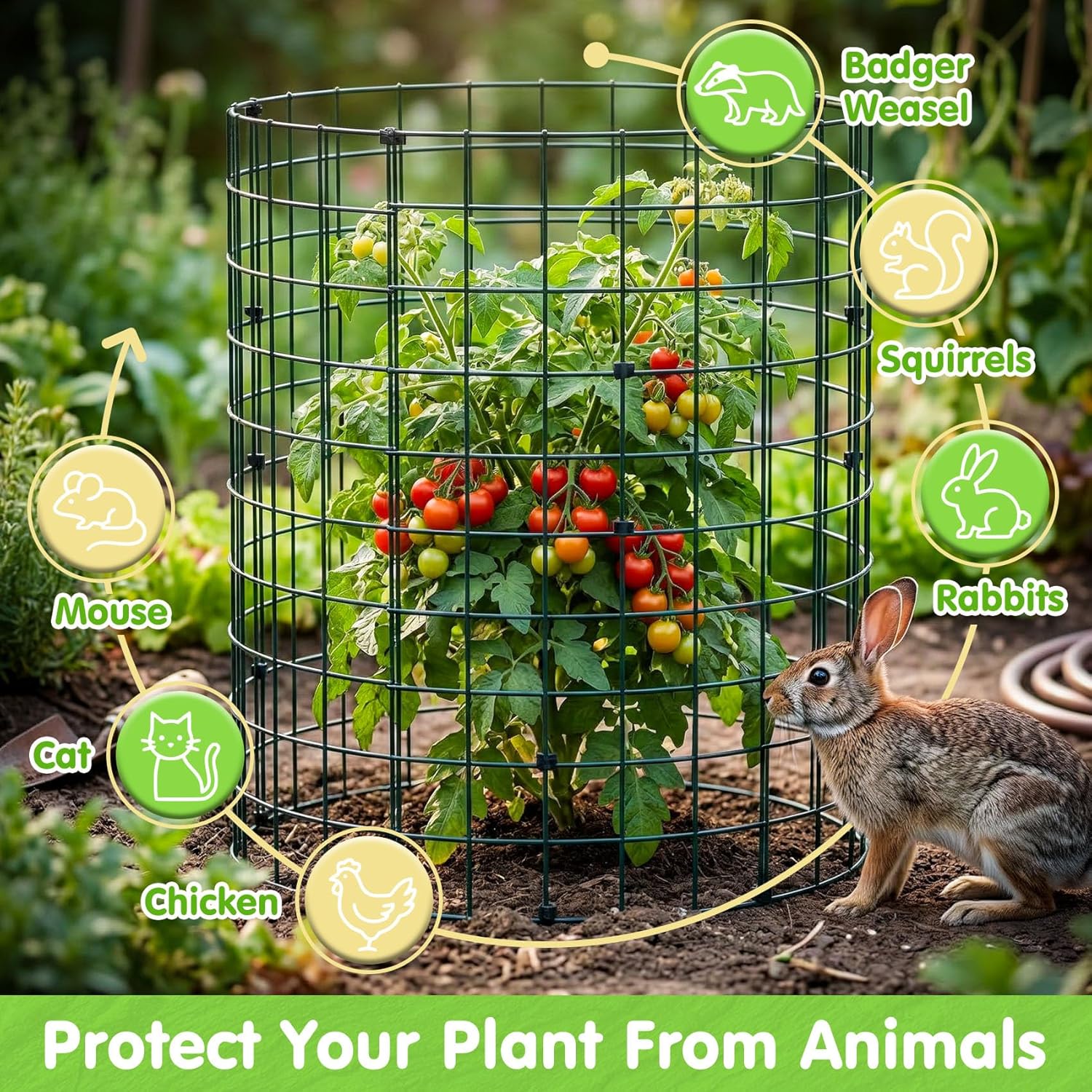 10 Pack Round Plant Protector from Animals – 30pcs 12" × 12" Metal Wire Mesh Garden Plant Cages Wire Plant Covers Pre-Bent Metal Mesh for Seedling Raised Bed Garden Protection for Vegetables Flower