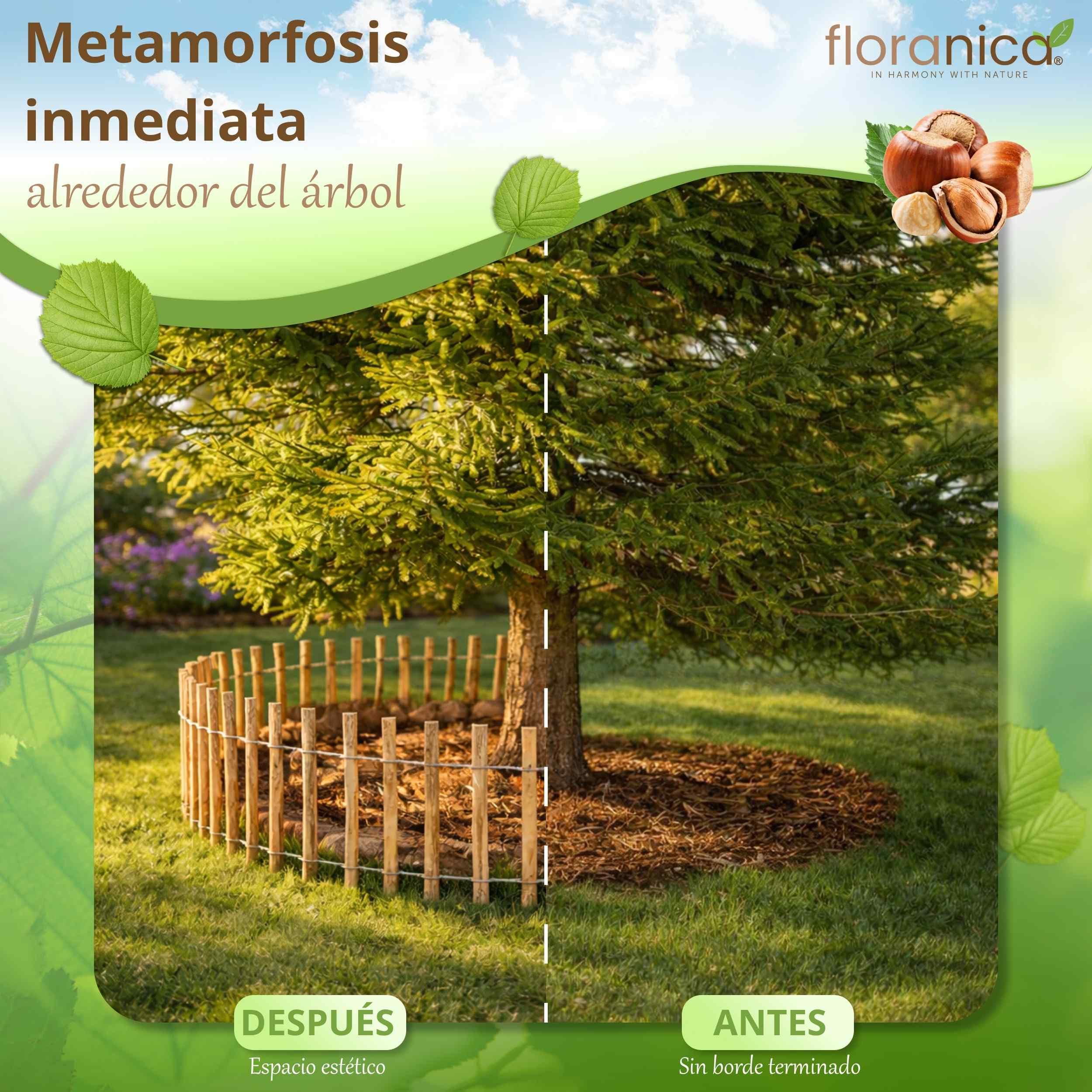 Floranica Valla de estacas de avellana con postes altura 50 cm x 5 m distancia entre lamas 4-6 cercas de jardín de castaño Valla de madera bordes de parterre vallas enrollables