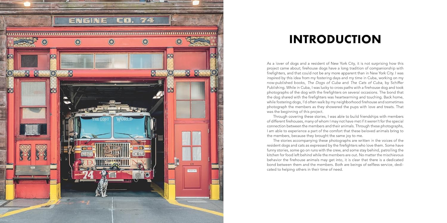 Paws of Firefighters: The Dogs & Other Animals of New York Firehouses