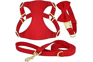 No-Pull Didog Harness: Premium Comfort for Your Furry Friend