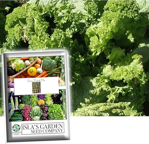 Mezcla de ensalada picante, mezcla de variedades picantes de semillas para plantar, más de 500 semillas tradicionales por paquete, semillas de