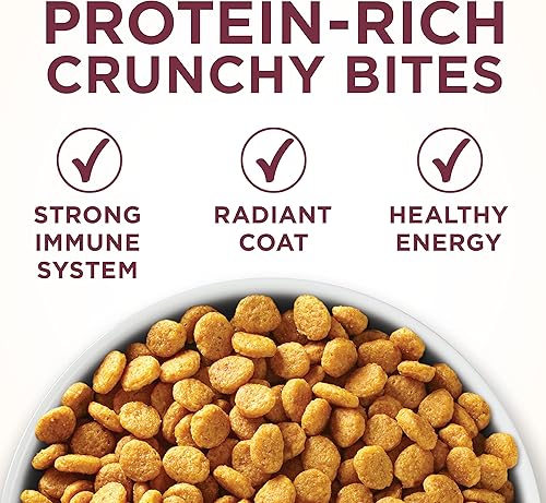 Vista 6 de Purina One Fórmula saludable para vías urinarias, alimento seco para gatos, Fórmula para la salud del tracto urinario