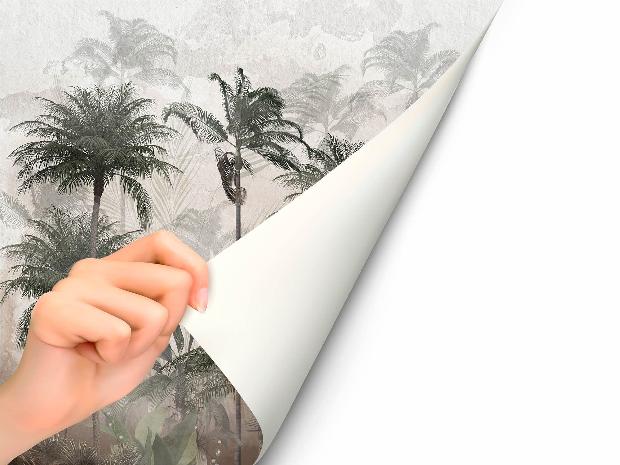 Oedim Fotomural Vinilo para Pared Palmeras Tropicales, Mural, Fotomural Vinilo Decorativo, 400x300cm, Decoración comedores, Salones, Habitaciones