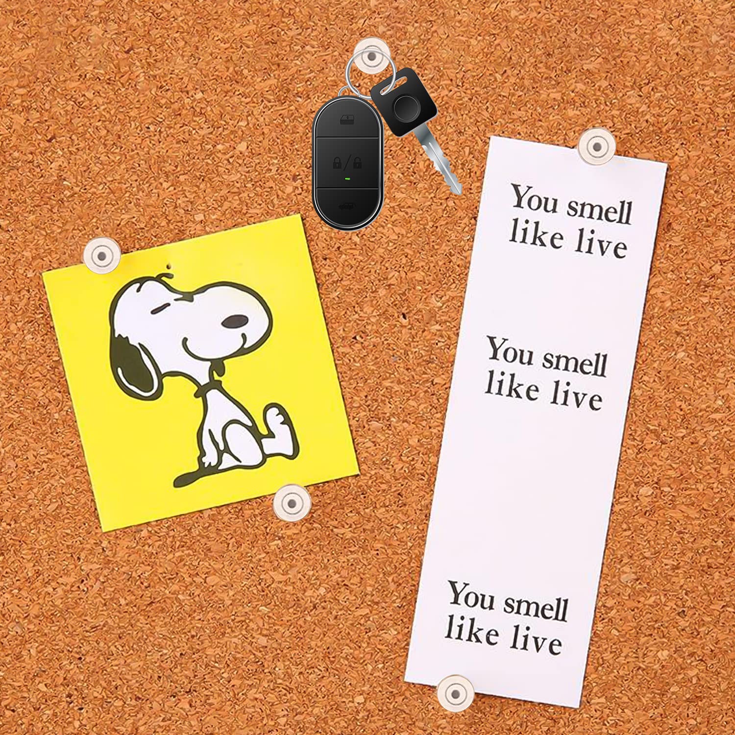 Goupille En Plastique De Punaise De Marquage De Goupille De Punaise Décorative De La Boule