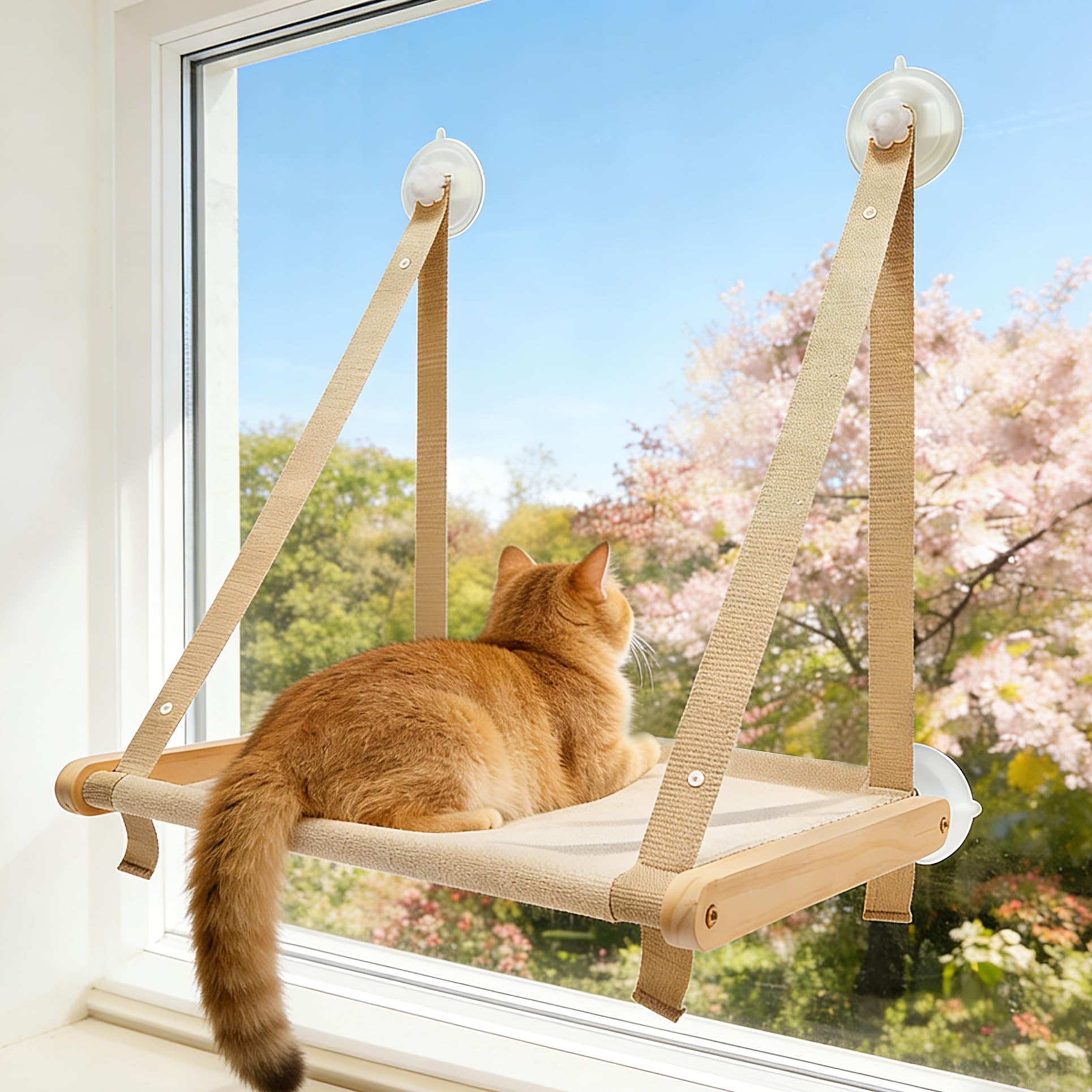Ccarzzi Cat Window Bed, Foldable Cat Window Hammock with 4 Strong Suction Cups up to 40LB/18KG, Window Perch for Indoor Cats with Breathable Fabric (50 x 38 CM)