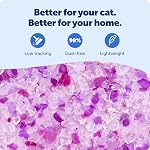 PetSafe ScoopFree Lavande Litter chat en cristal, Litter légèrement parfumée – Contrôle supérieur de l'odeur – Faible suivi pour moins de mess – Jusqu'à 1 Mois, 8.6 Lb Total (2 Boîte de 4.3 Sacs en lb)