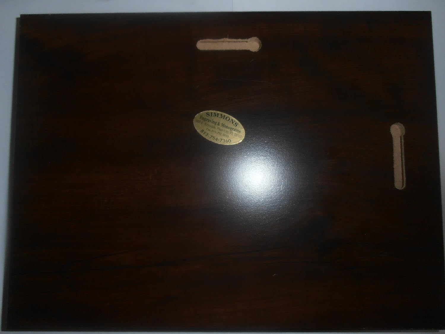 RARE Tampa Bay Lightning Plaque Featuring Brian Richards and Martin St. Louis