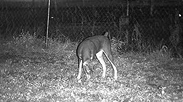 Review Image by Ingrid Ingrid