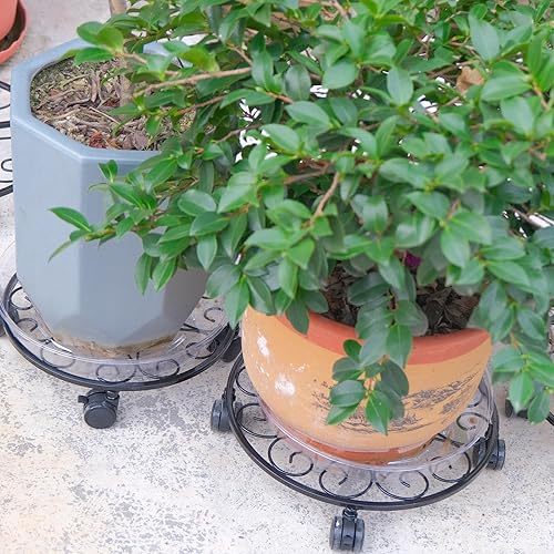 Miniatura 9 de Paquete de 6 soportes de metal para plantas con ruedas de 12 pulgadas con ruedas, soporte de hierro forjado resistente, rodillos para plantas,
