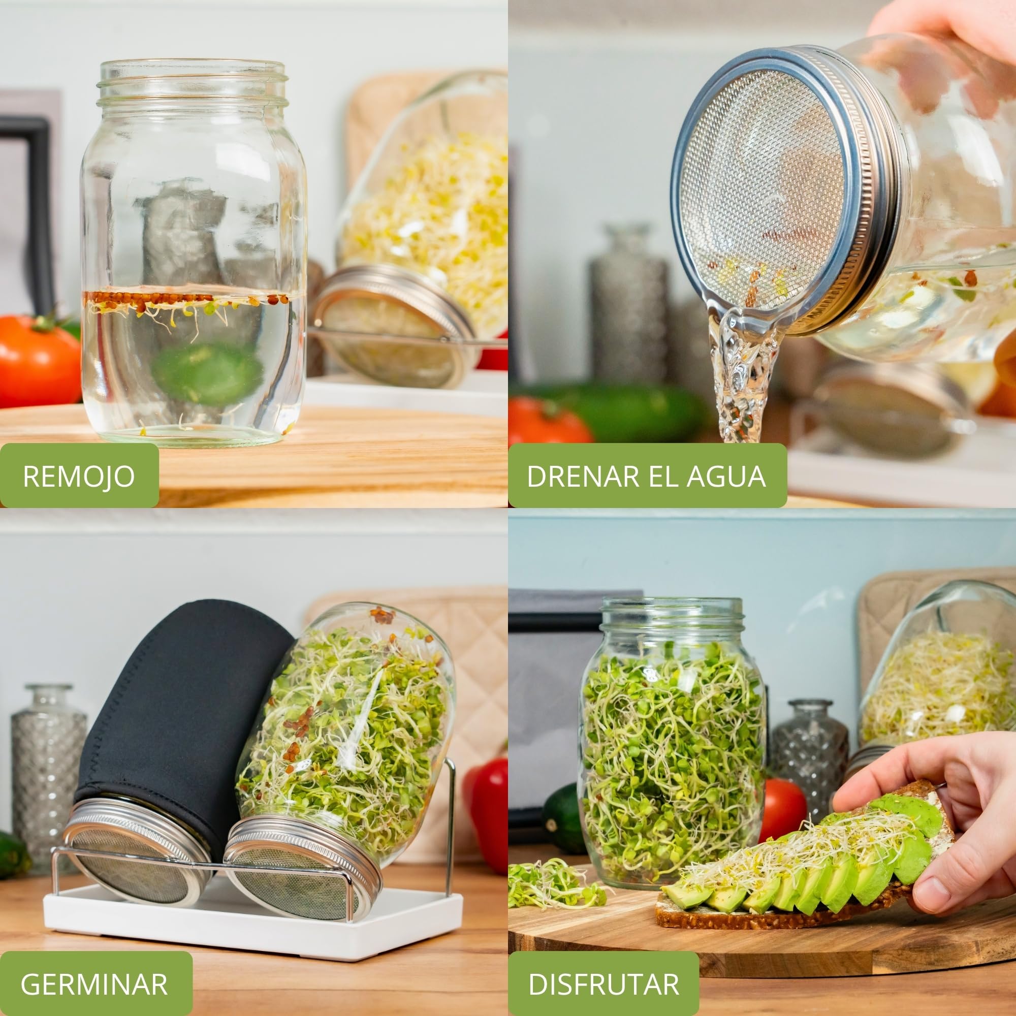 Westmark Juego de 2 tarros de germinación con Tapa de colador de Acero Inoxidable y escurridor, para brotes, microvegetales, 950 ml
