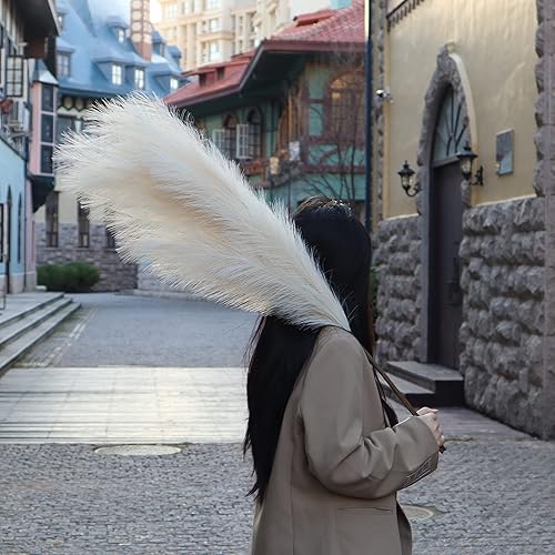 Miniatura 6 de Pampas Grass - Pampas (3 tallos de imitación de hierba para decoración del hogar, boda