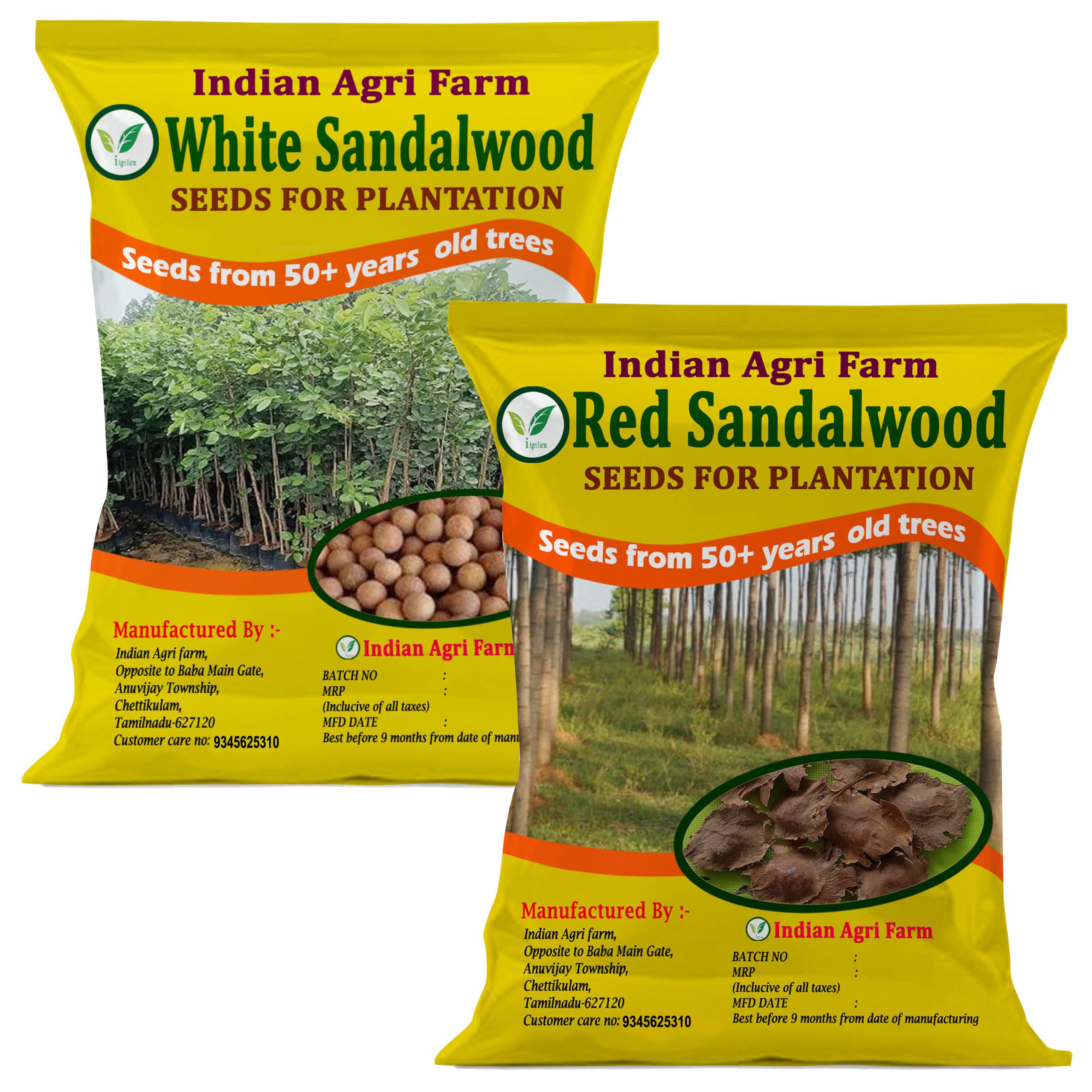 Iagrifarm White Sandalwood & Red Sandalwood Tree Seeds, Combo Pack, 100 Seeds Each (Plantation, Farming Seeds) (B0C2CJCC4V) Amazon Price History, Amazon Price Tracker