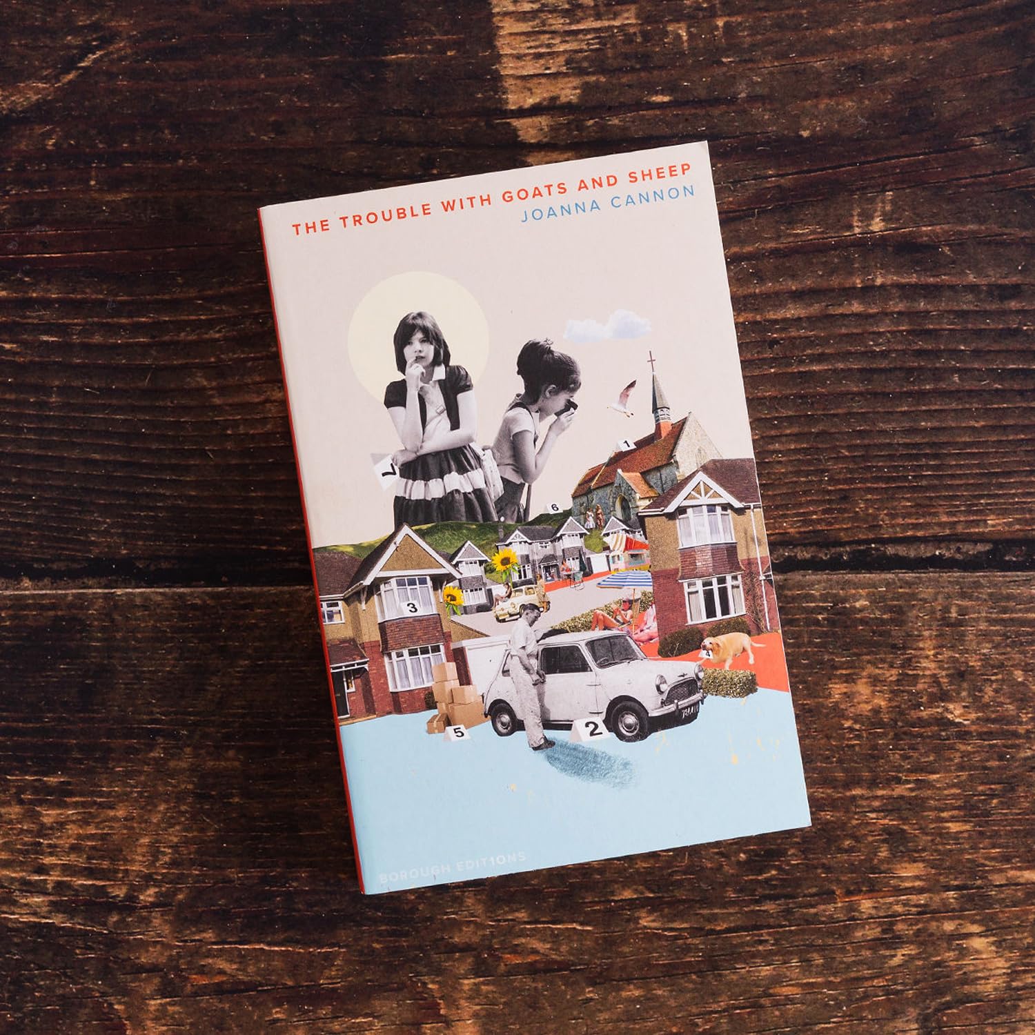 The Trouble with Goats and Sheep: A new Borough Edition of the Sunday Times bestseller