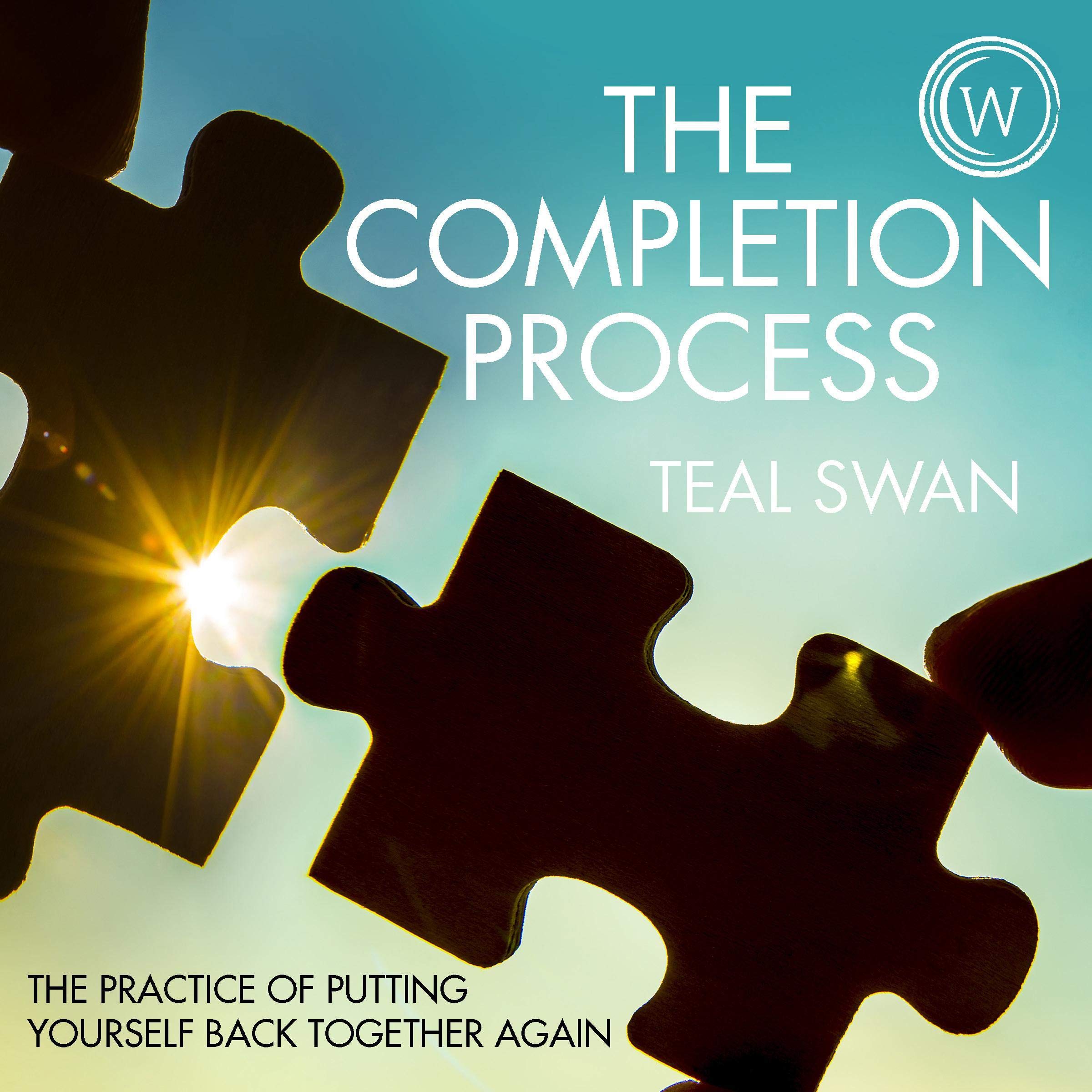 Cover art for The Completion Process