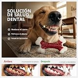 Ver la foto 5