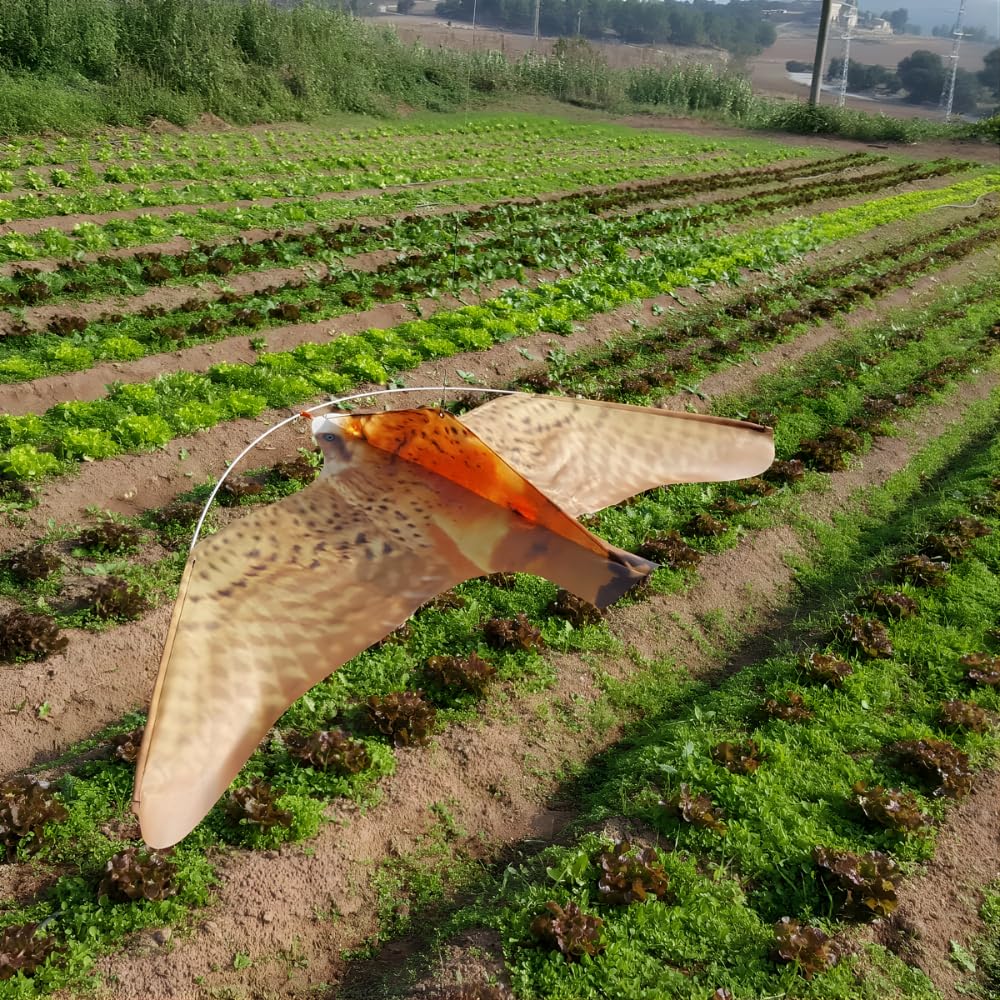 Espantapájaros Halcón Profesional Eolo | Ahuyenta Palomas y Aves | Movimiento Real de Vuelo | Protección UV | Fabricado en España | Mástil 7 Metros | Remi Hogar