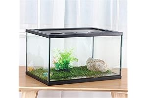 Crapelles Glass Terrarium Feeding Kit Tank with Lid for Reptile Amphibians, Insect,...