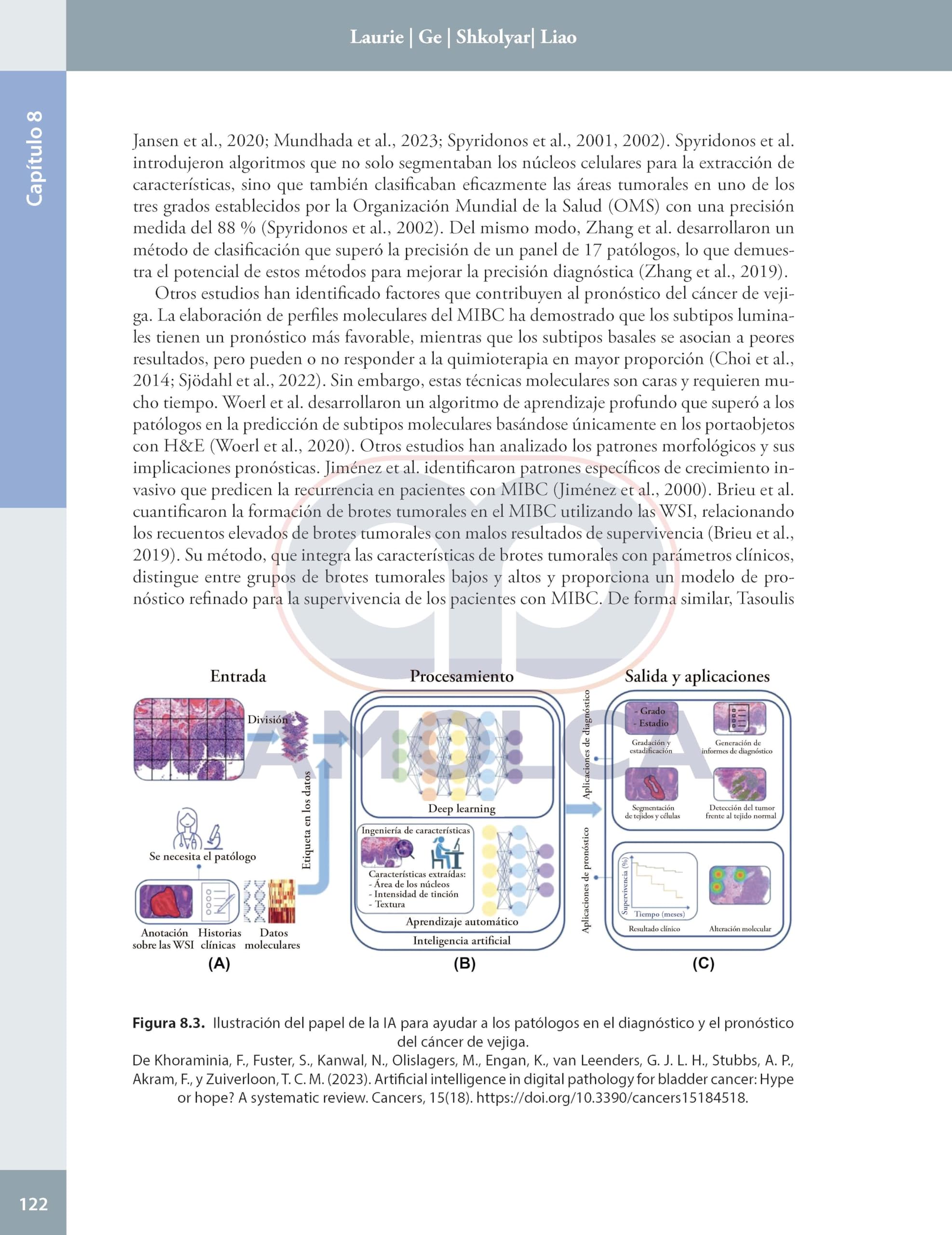 Inteligencia artificial en urologia presente y futuro